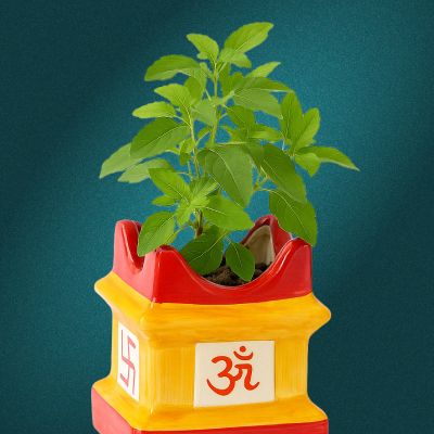 Tulasi — Hindu deity